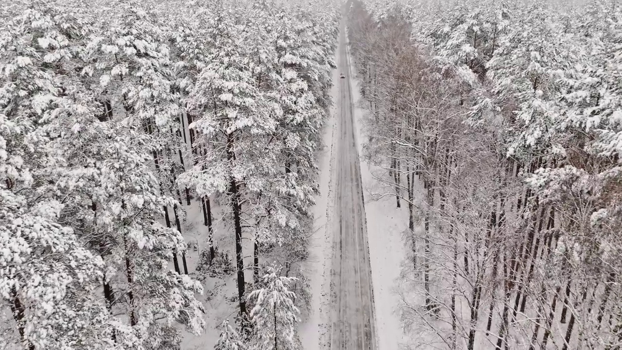 冬天，汽车行驶在柏油路上，穿过雪林。视频素材