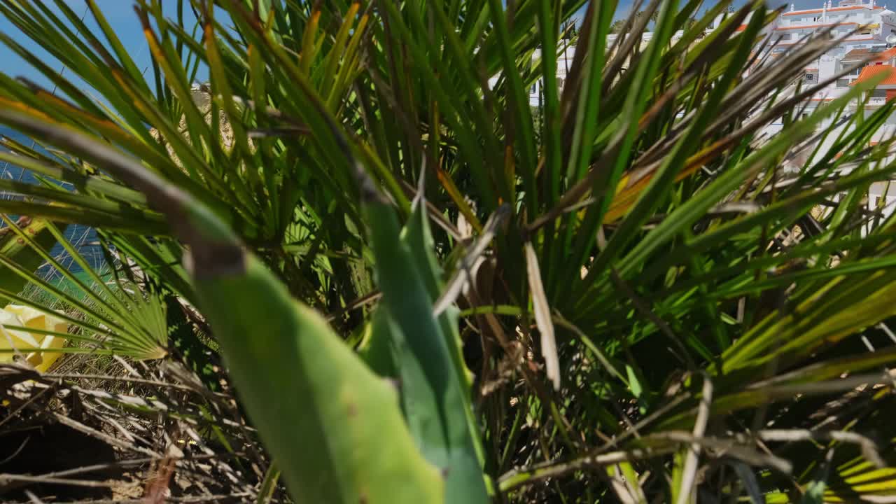 葡萄牙阿尔加维美丽的卡沃埃罗海滩的揭秘照片视频素材