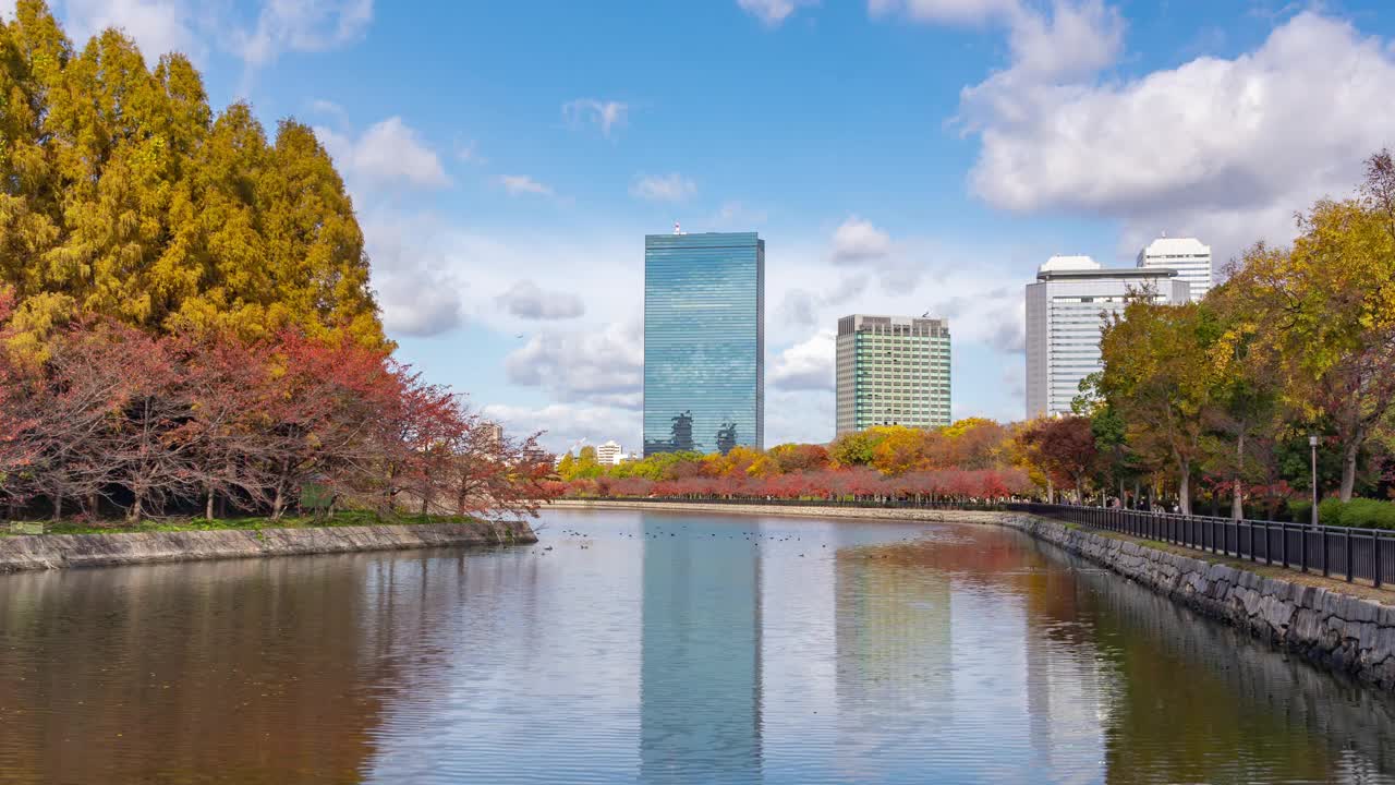 时光流逝的摩天大楼大阪现代建筑日本大阪市的秋叶季节视频素材