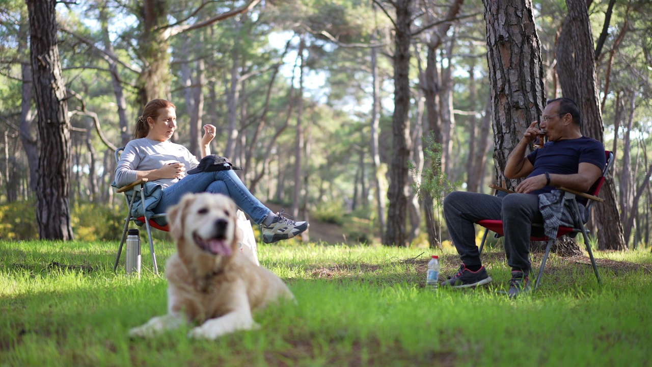 一对中年夫妇带着他们的金毛猎犬在森林里一起喝茶视频素材