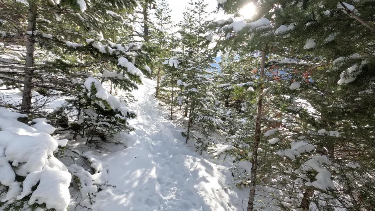 第一人称视角的女人走在雪冬天的道路视频素材