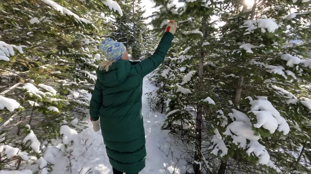 第一人称视角的女人走在雪冬天的道路视频素材