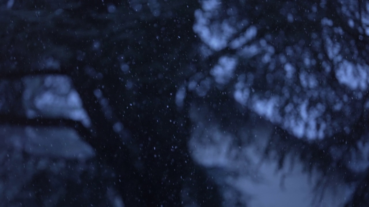 暴雪暴雪飘落的雪花特写视频素材