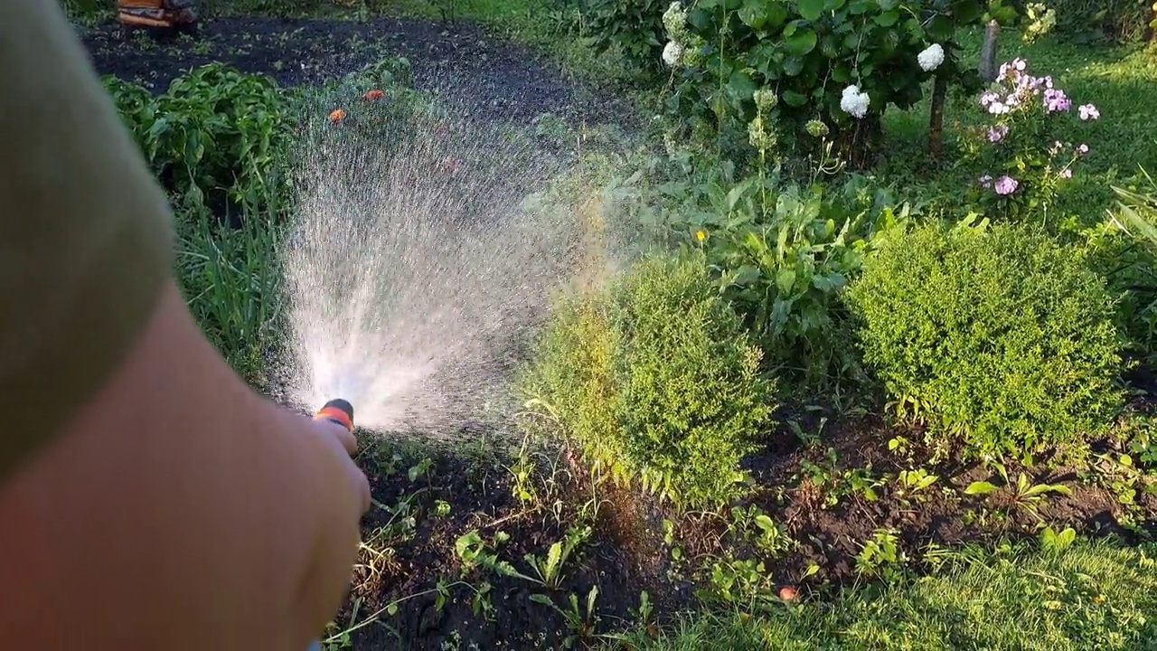 枪喷嘴软管水喷雾器浇灌花园视频素材