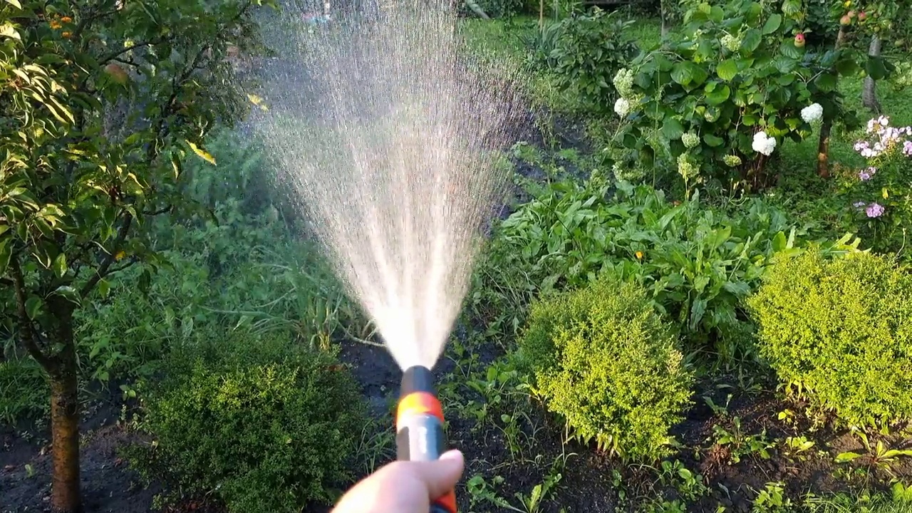 用水管给花园浇水。视频素材