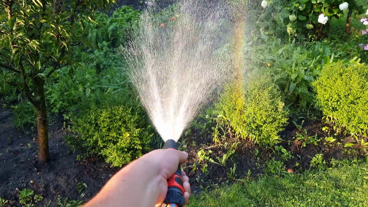 用水管给花园浇水视频下载