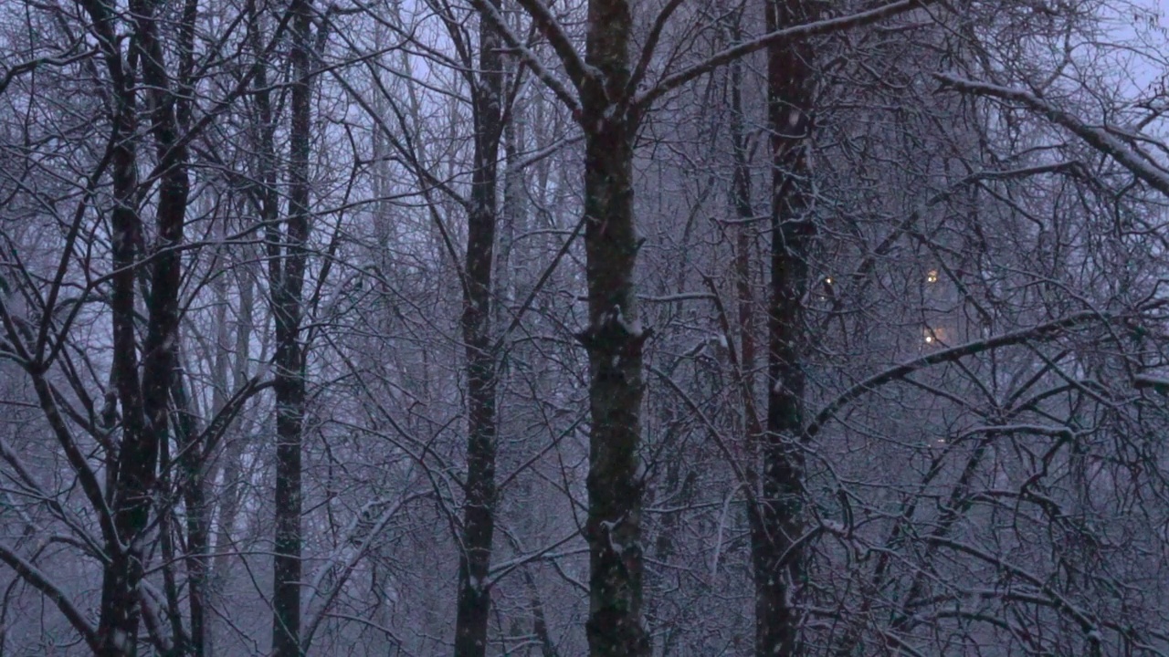 傍晚的雪把窗户扔在城市里视频素材