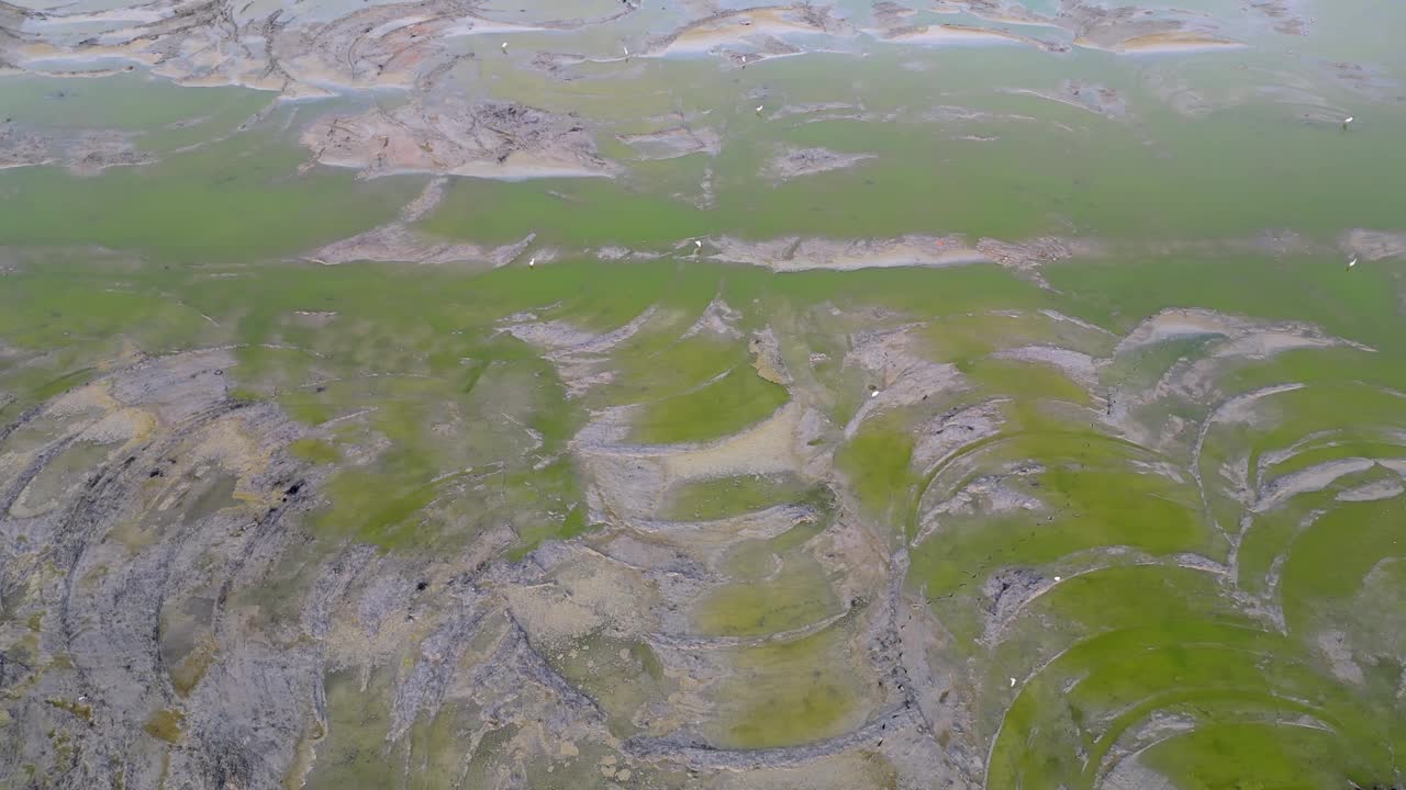 空中滑行的土地清理活动视频素材