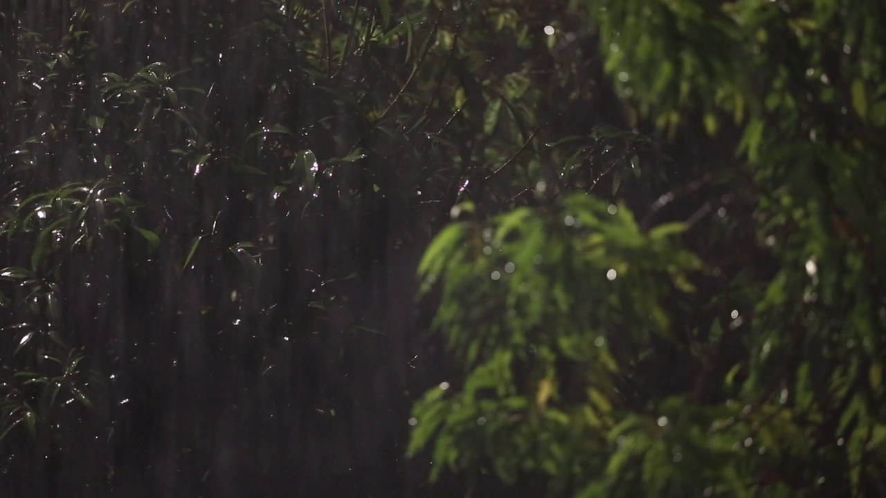 下雨视频素材