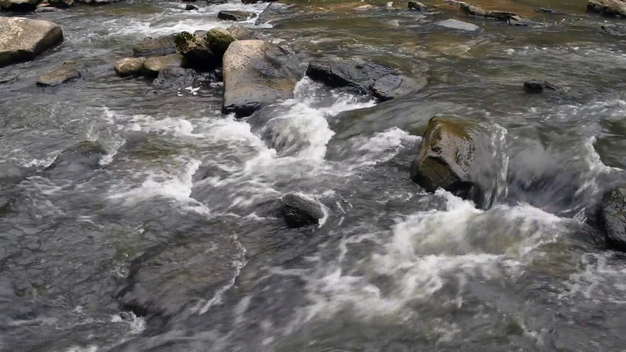 小溪流水视频下载