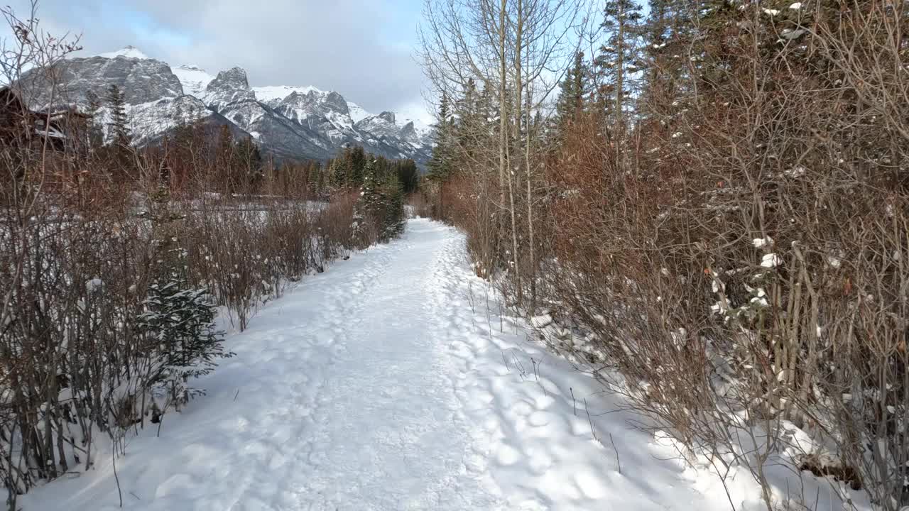 第一人称视角行走在冰雪覆盖的冬季小路上视频素材