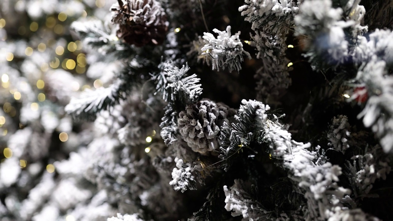 特写的圣诞松树与轻雪花视频素材