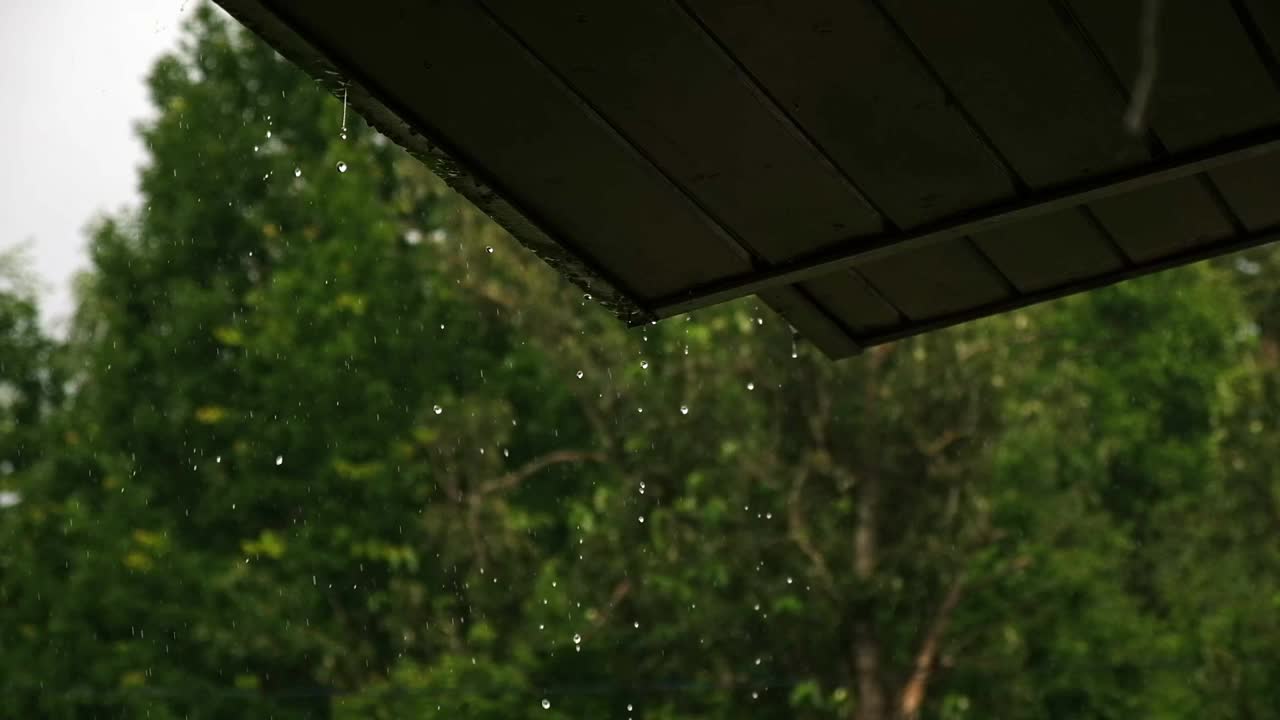 雨水从有自然绿色背景的屋顶流下。关闭了。缓慢的运动。夏天下雨阵雨。雨天。棕色木屋。雨水从金属屋顶上快速滴下。侧视图。视频素材