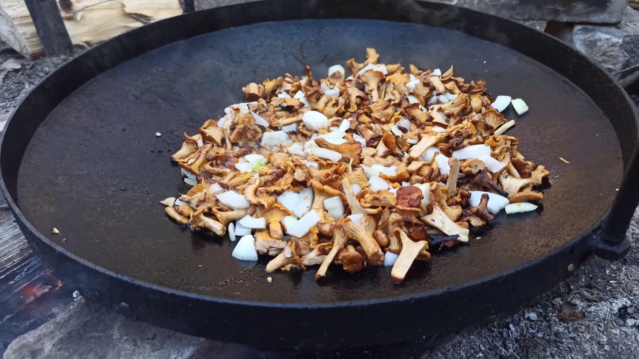 油炸鸡油菌的烹调过程。野蘑菇菜。在大锅上煮鸡油菌视频下载