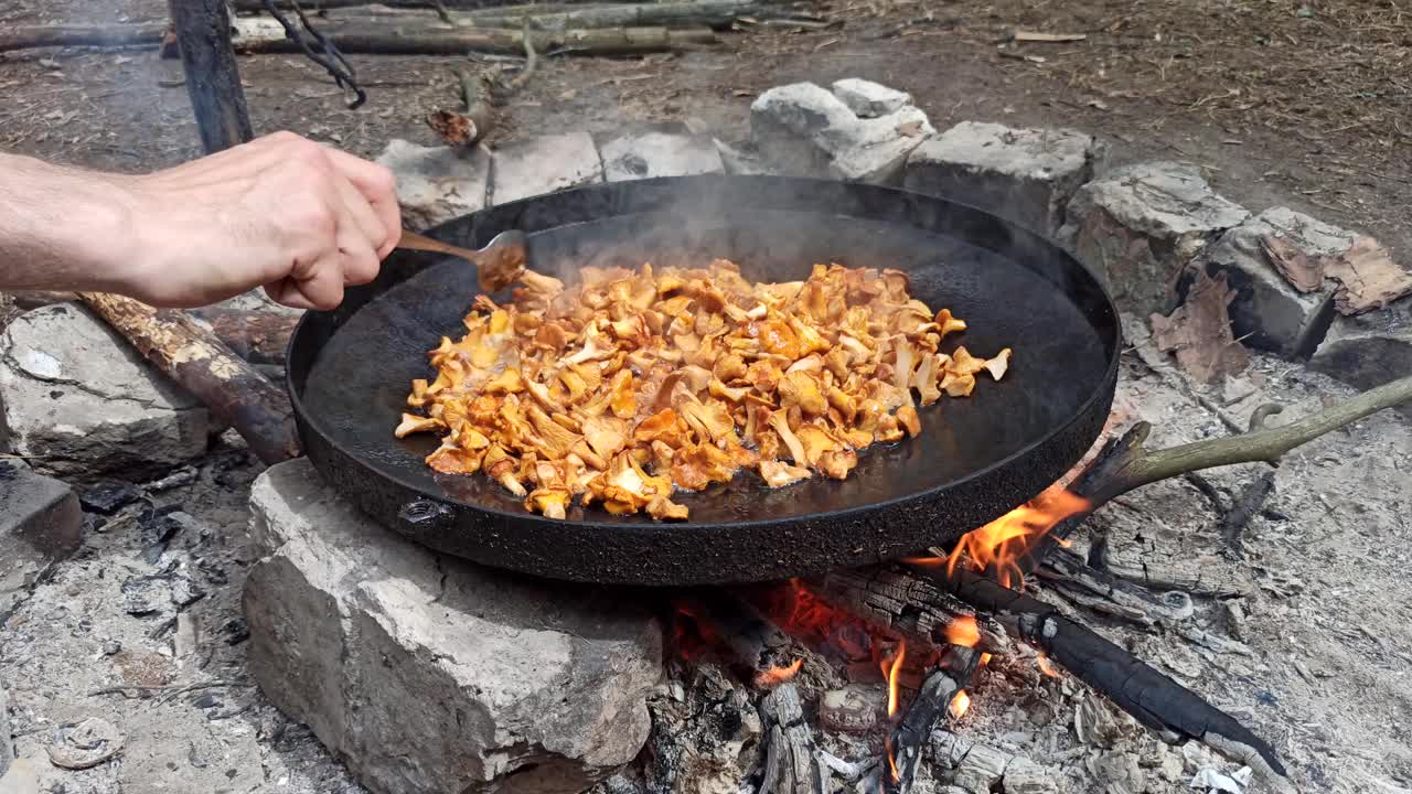 森林的菜。烹饪美味的蘑菇。油炸鸡油菌视频下载