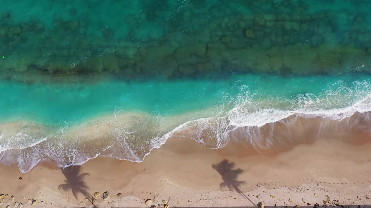 在空旷的白色沙滩海岸线上，热带海岸上有棕榈树视频素材