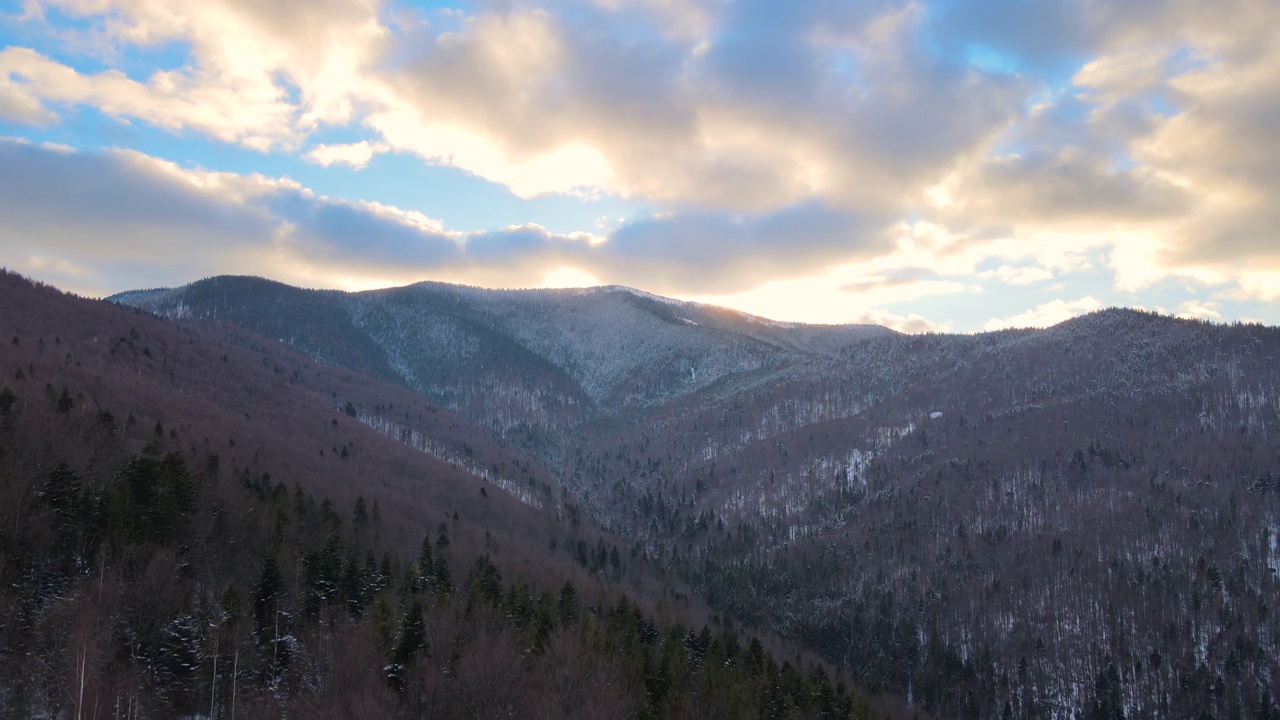 冬季景观与云杉的雪覆盖森林在寒冷的山脉在日落视频素材