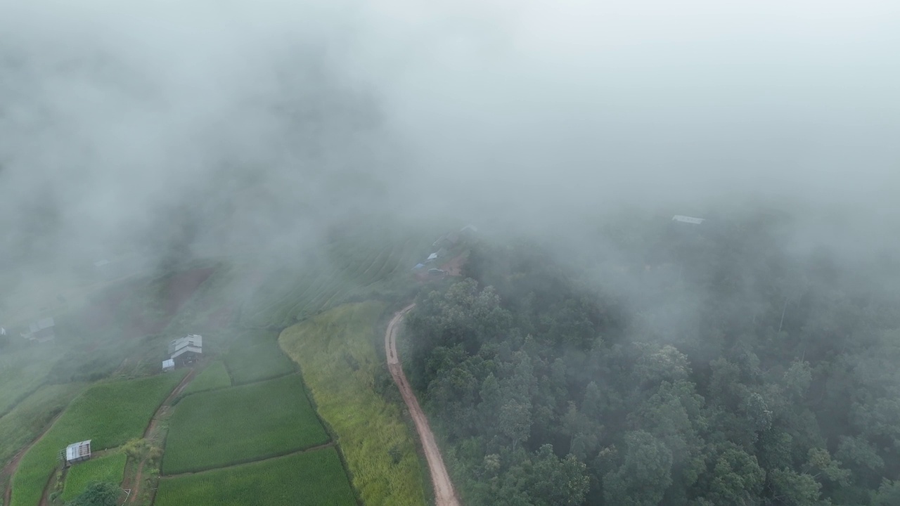 在清迈班帕邦比昂的水稻梯田鸟瞰图。泰国美丽的风景。视频素材