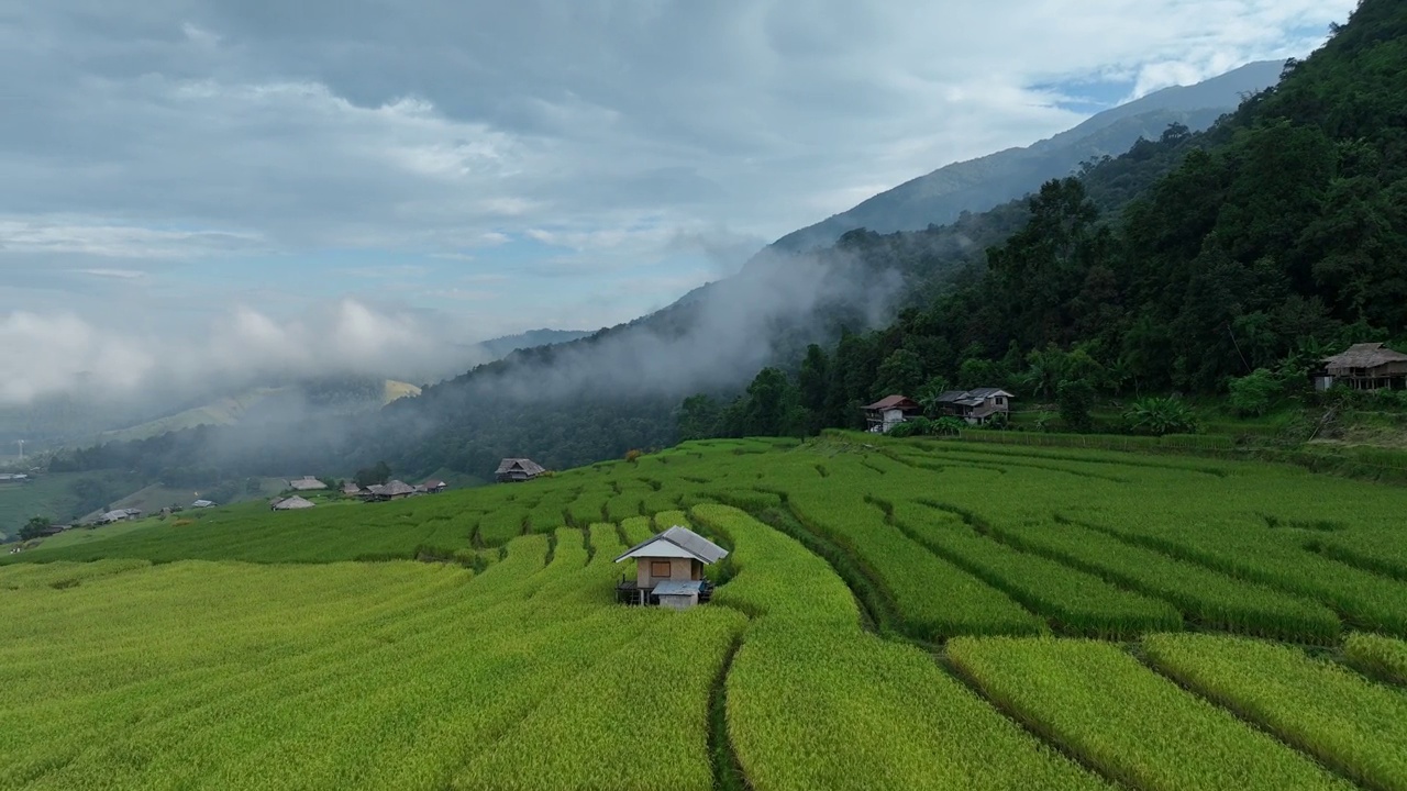 在清迈班帕邦比昂的水稻梯田鸟瞰图。泰国美丽的风景。视频素材