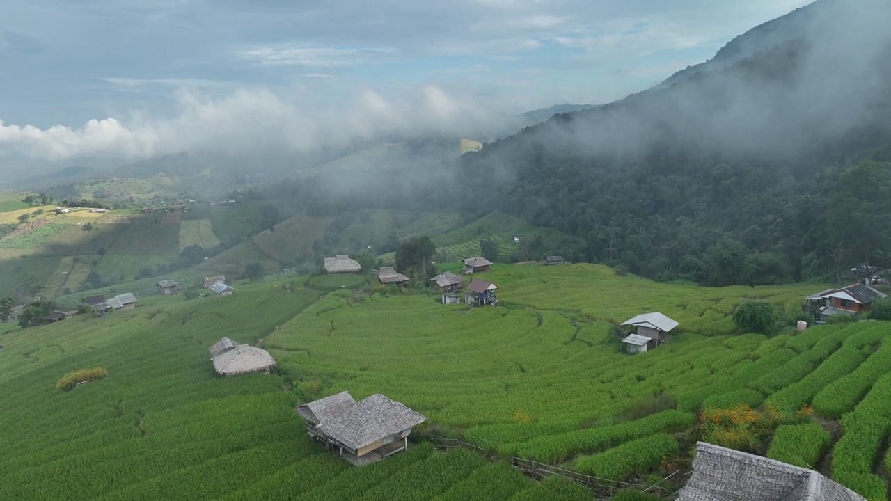 在清迈班帕邦比昂的水稻梯田鸟瞰图。泰国美丽的风景。视频素材