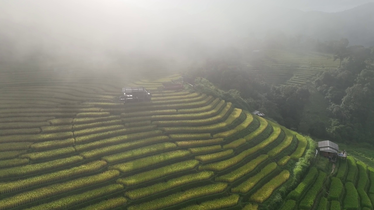 在清迈班帕邦比昂的水稻梯田鸟瞰图。泰国美丽的风景。视频素材