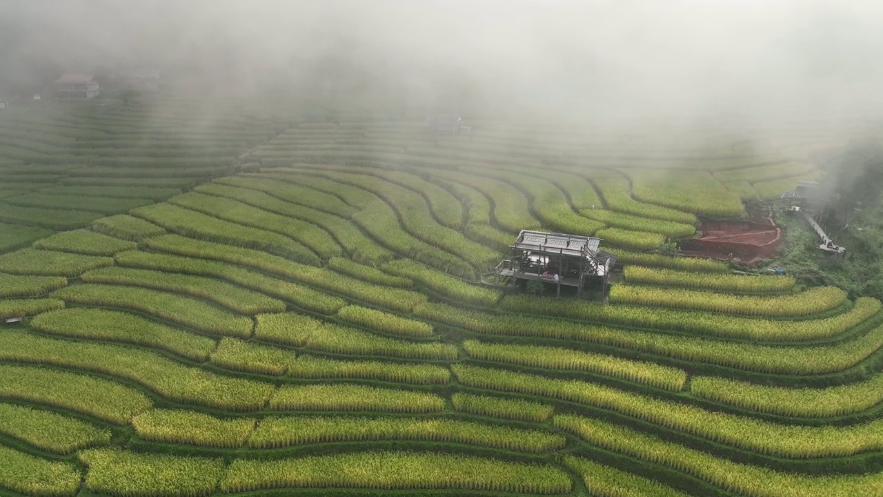 在清迈班帕邦比昂的水稻梯田鸟瞰图。泰国美丽的风景。视频素材