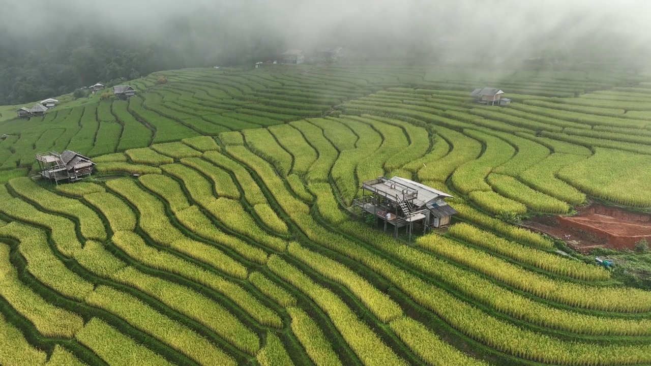 在清迈班帕邦比昂的水稻梯田鸟瞰图。泰国美丽的风景。视频素材