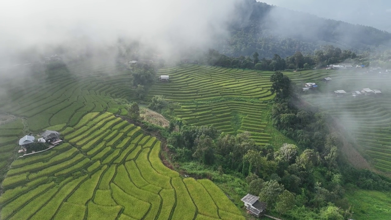 在清迈班帕邦比昂的水稻梯田鸟瞰图。泰国美丽的风景。视频素材