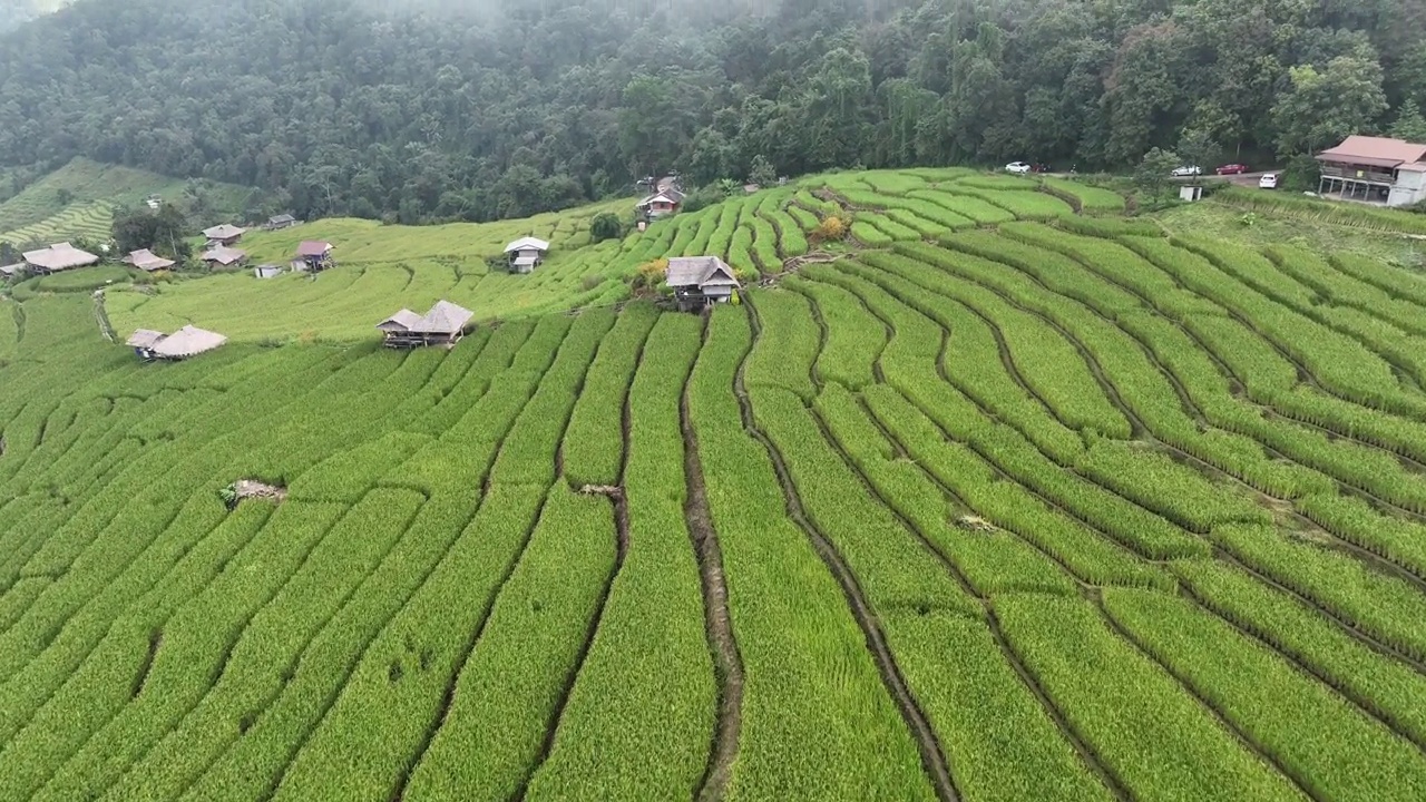 在清迈班帕邦比昂的水稻梯田鸟瞰图。泰国美丽的风景。特别与彩虹光晕反射与云。视频素材