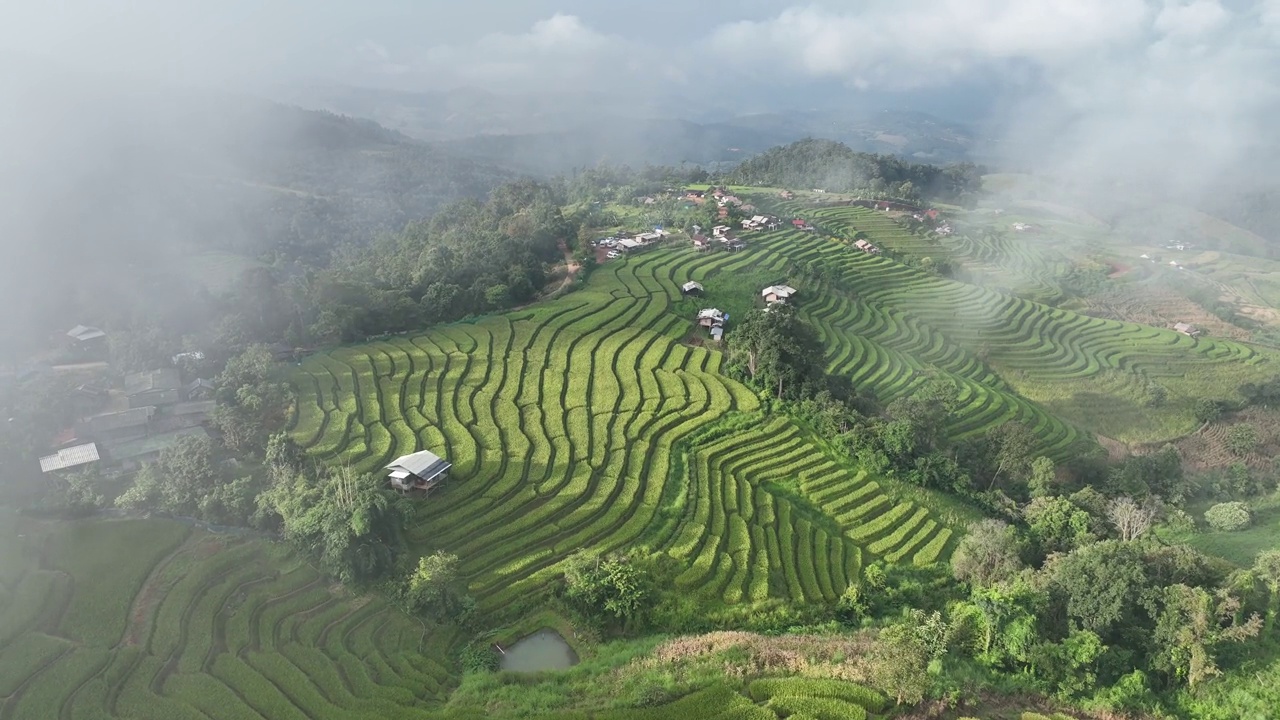 在清迈班帕邦比昂的水稻梯田鸟瞰图。泰国美丽的风景。视频素材