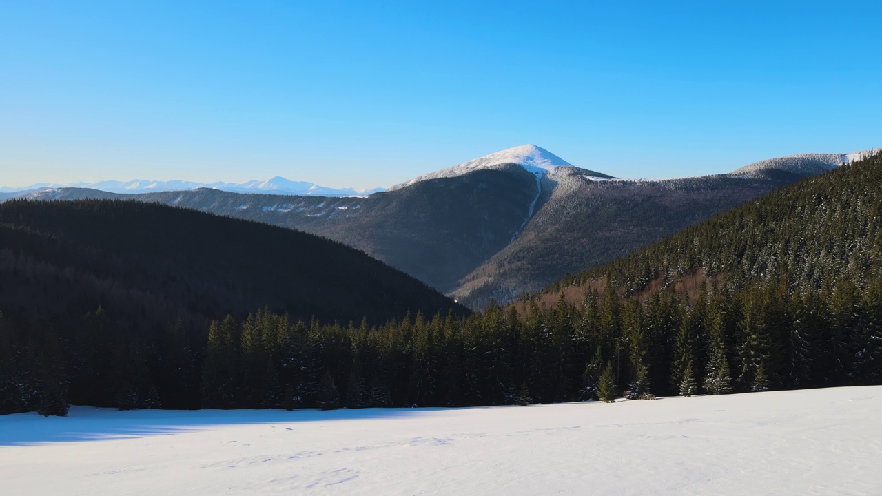 冬季景观与云杉冰雪覆盖的森林在寒冷的山区视频素材