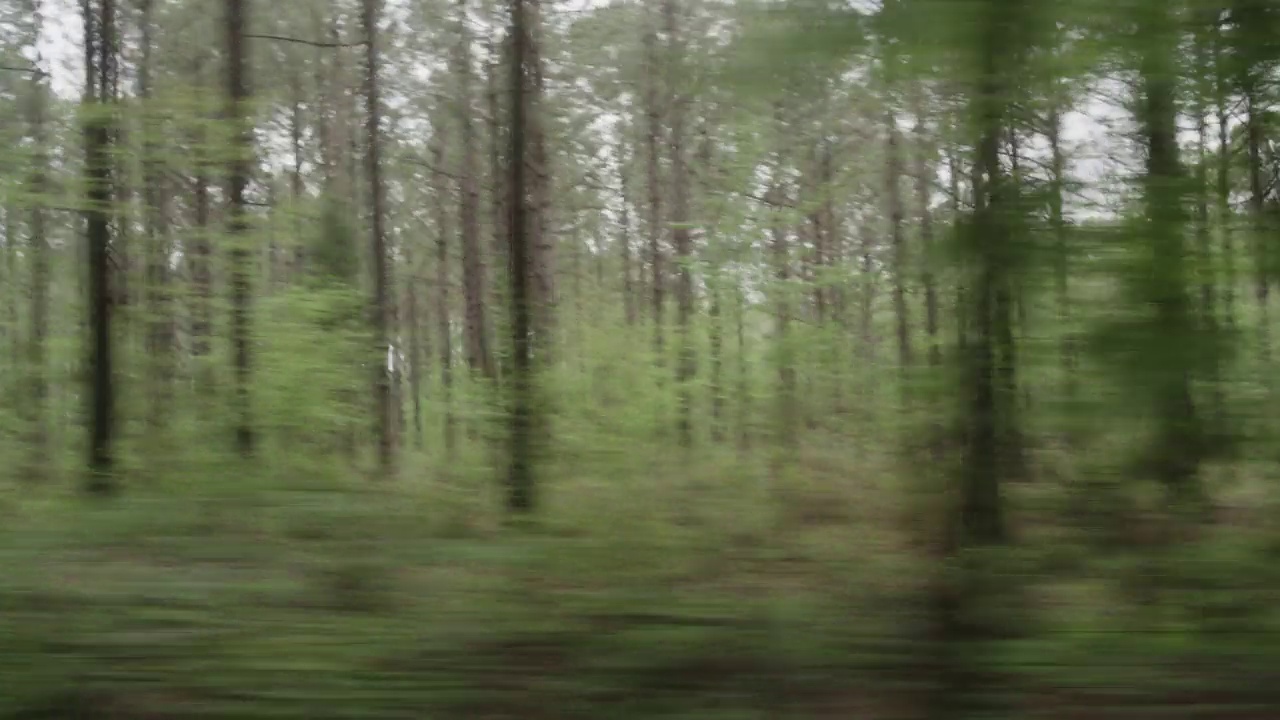 过程板行驶在笔直的左边一条两车道的乡村道路上，周围有树木和灌木丛视频素材