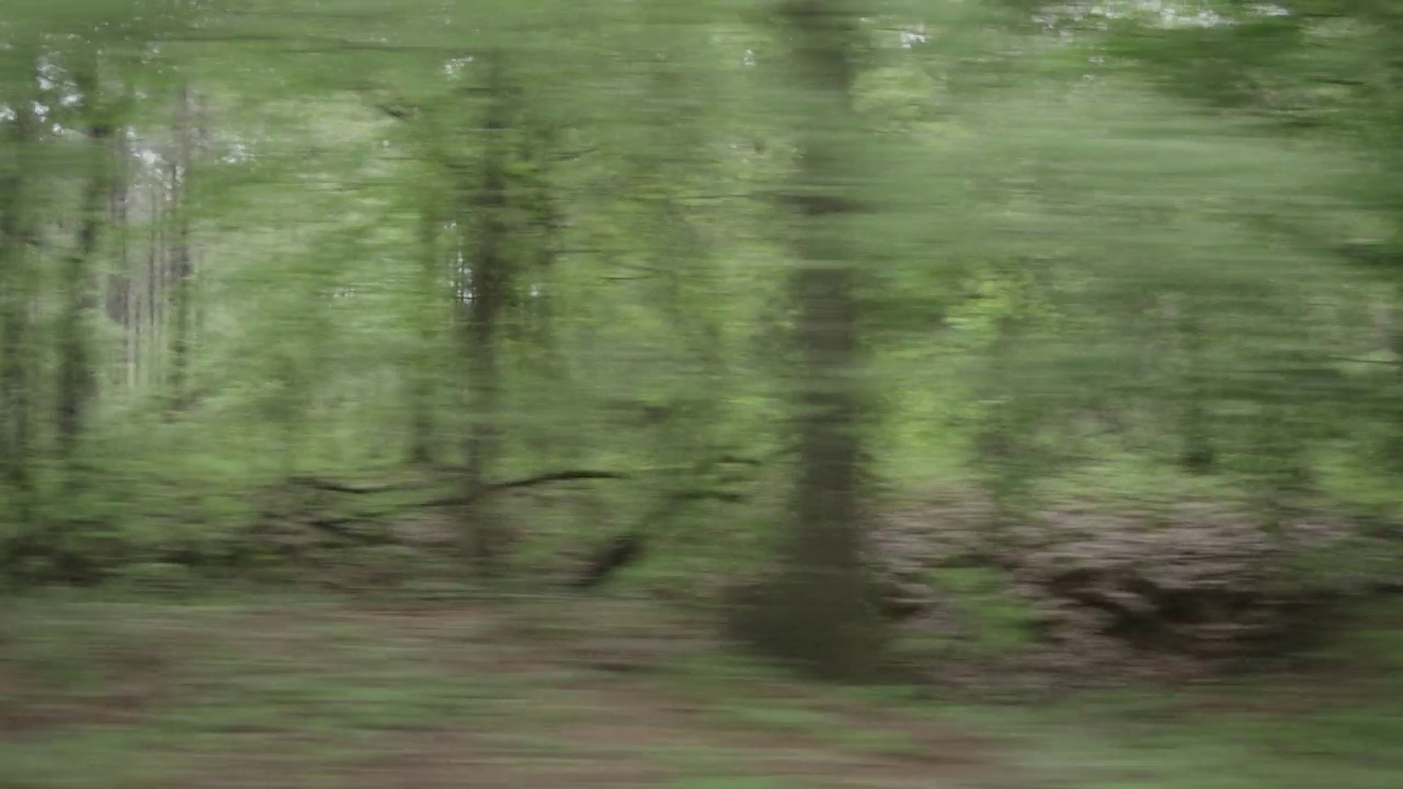 过程板右侧行驶在一条两车道的乡村道路上，周围有树木和灌木丛视频素材