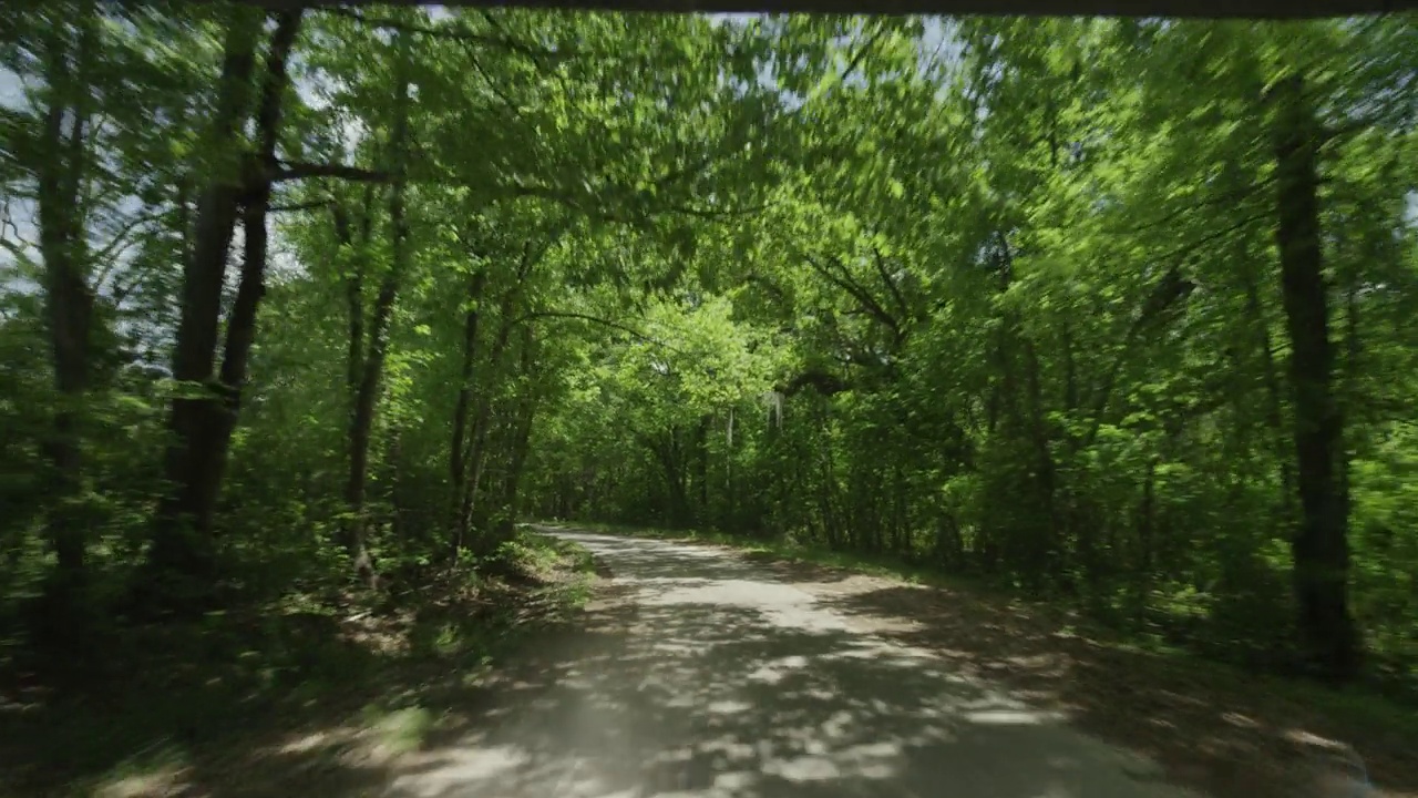 加工板直背行驶在一条两车道的乡村道路上，周围有树木和灌木丛视频素材