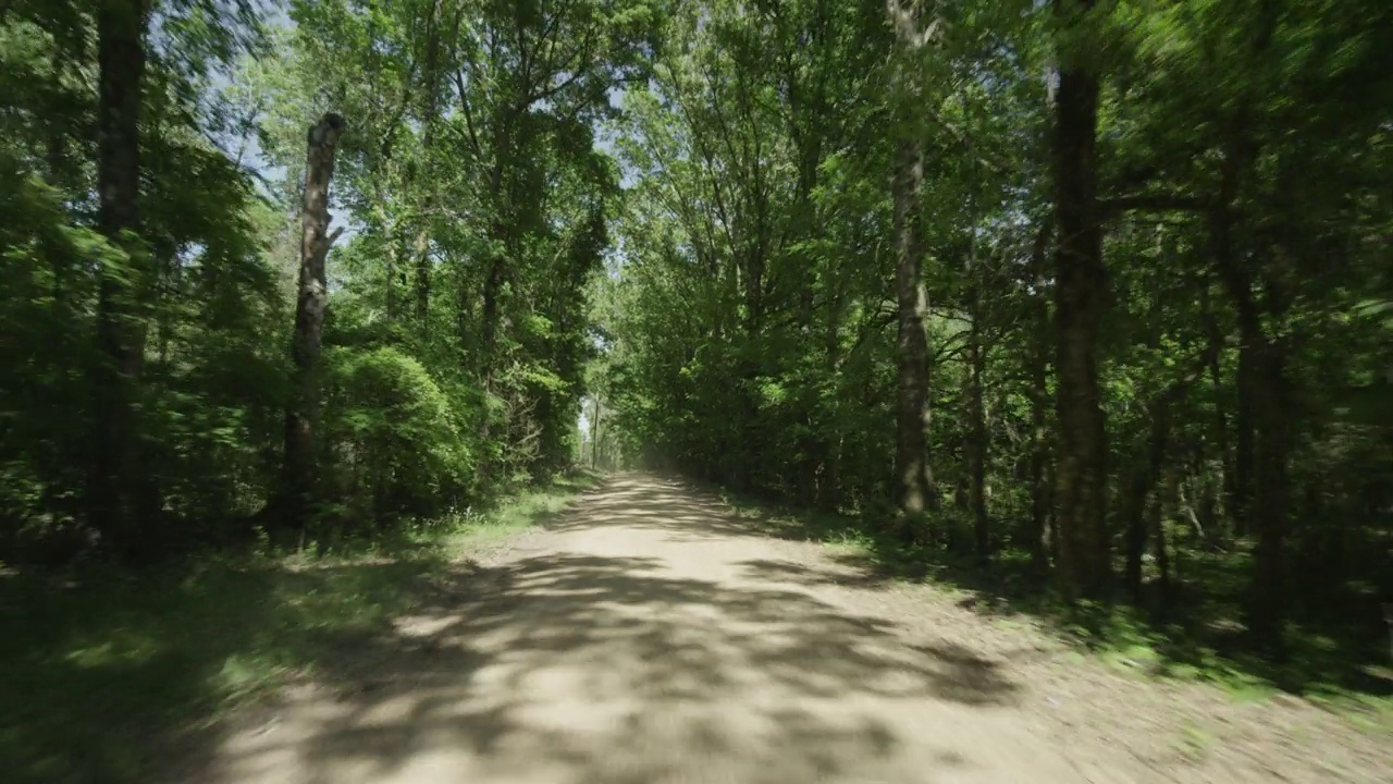 加工板直背行驶在一条两车道的乡村道路上，周围有树木和灌木丛视频素材