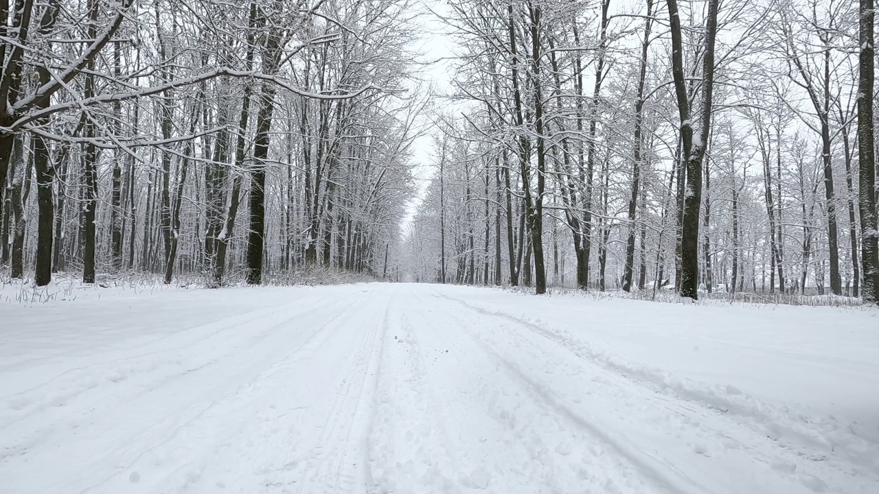 冬天雪路穿过森林。雪花从天而降。视频素材