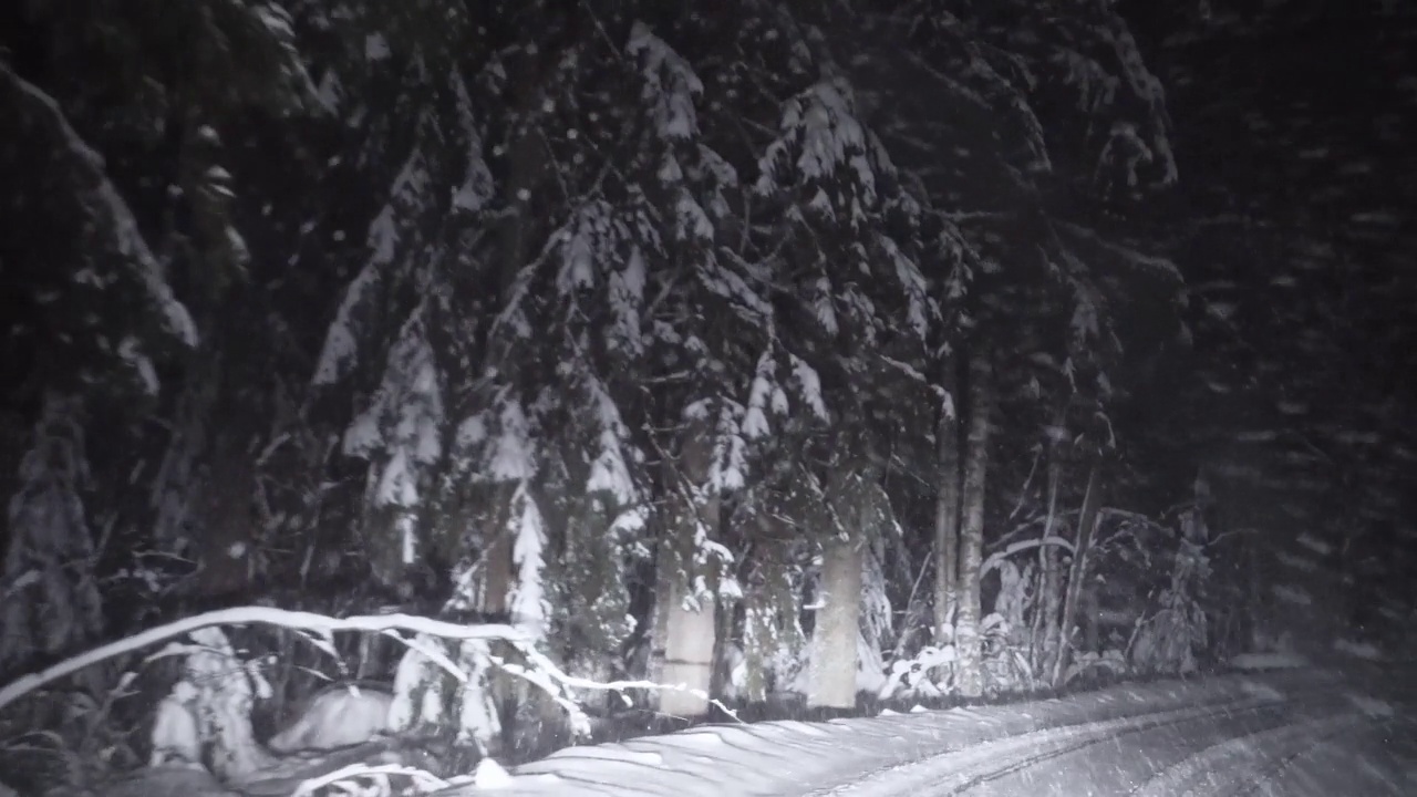 夜间驾驶森林积雪的道路。视频素材