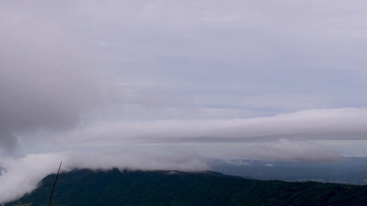 雾在热带雨林的山峰上流动视频素材