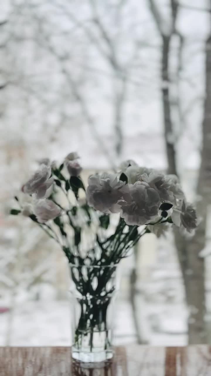 花插在窗户上的花瓶里视频素材