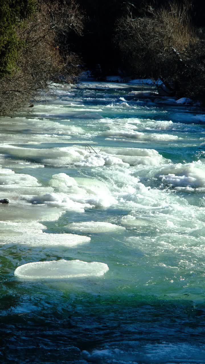 冬山河视频素材