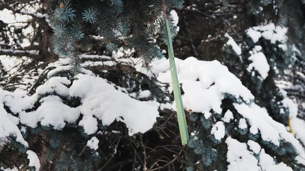 自制的木制玩具放在白雪覆盖的圣诞树上。视频素材