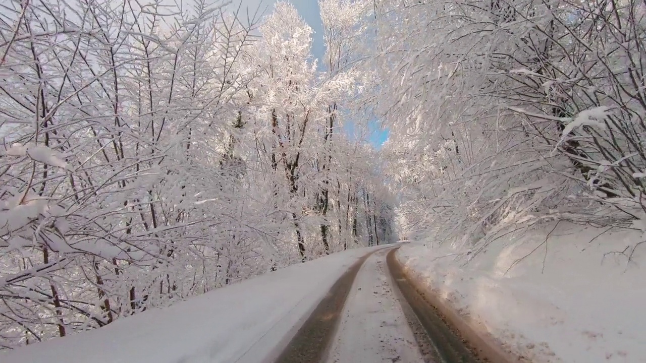 汽车沿着雪山穿过森林视频素材