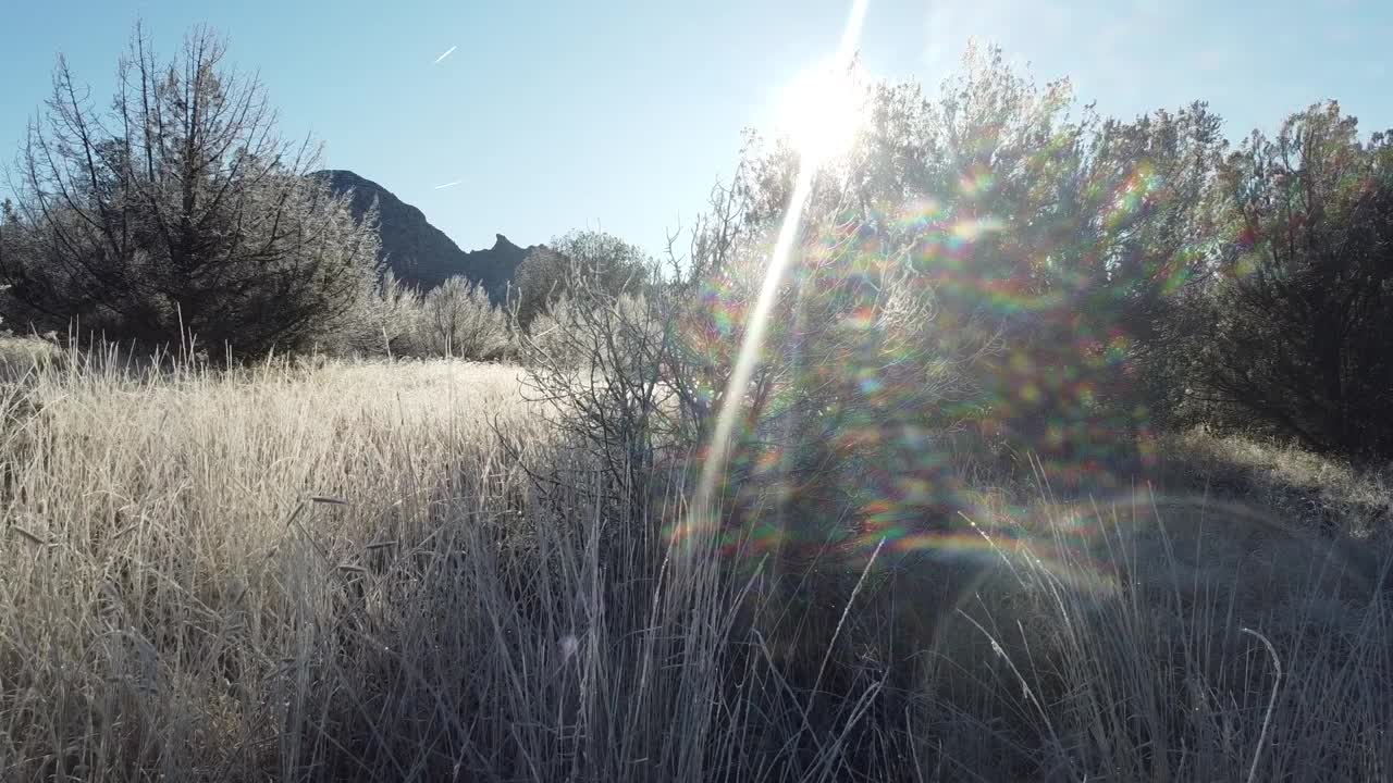 一个初冬的早晨，霜覆盖了草地视频素材