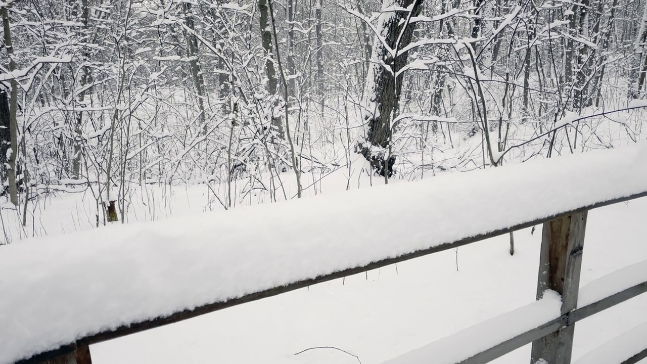 木制人行道上覆盖着积雪视频素材