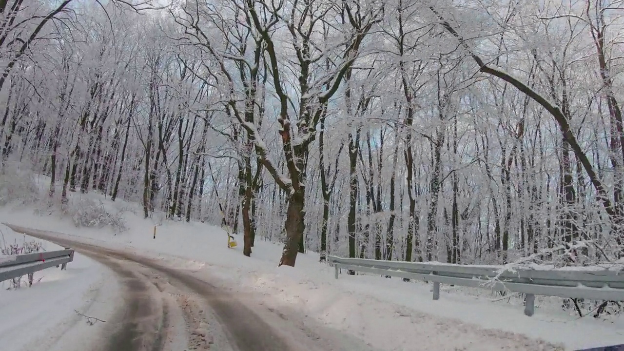 汽车沿着雪山穿过森林视频素材