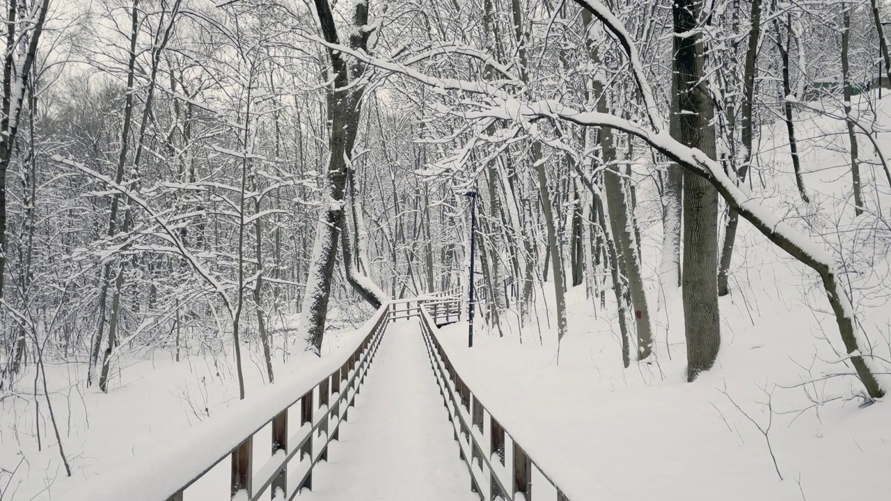 木制人行道上覆盖着积雪视频素材