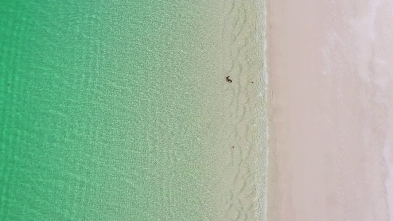 直接在空旷的白色沙滩海岸线与蓝绿色平静的海湾的水视频素材