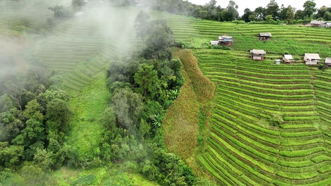 在清迈班帕邦比昂的水稻梯田鸟瞰图。泰国美丽的风景。视频素材