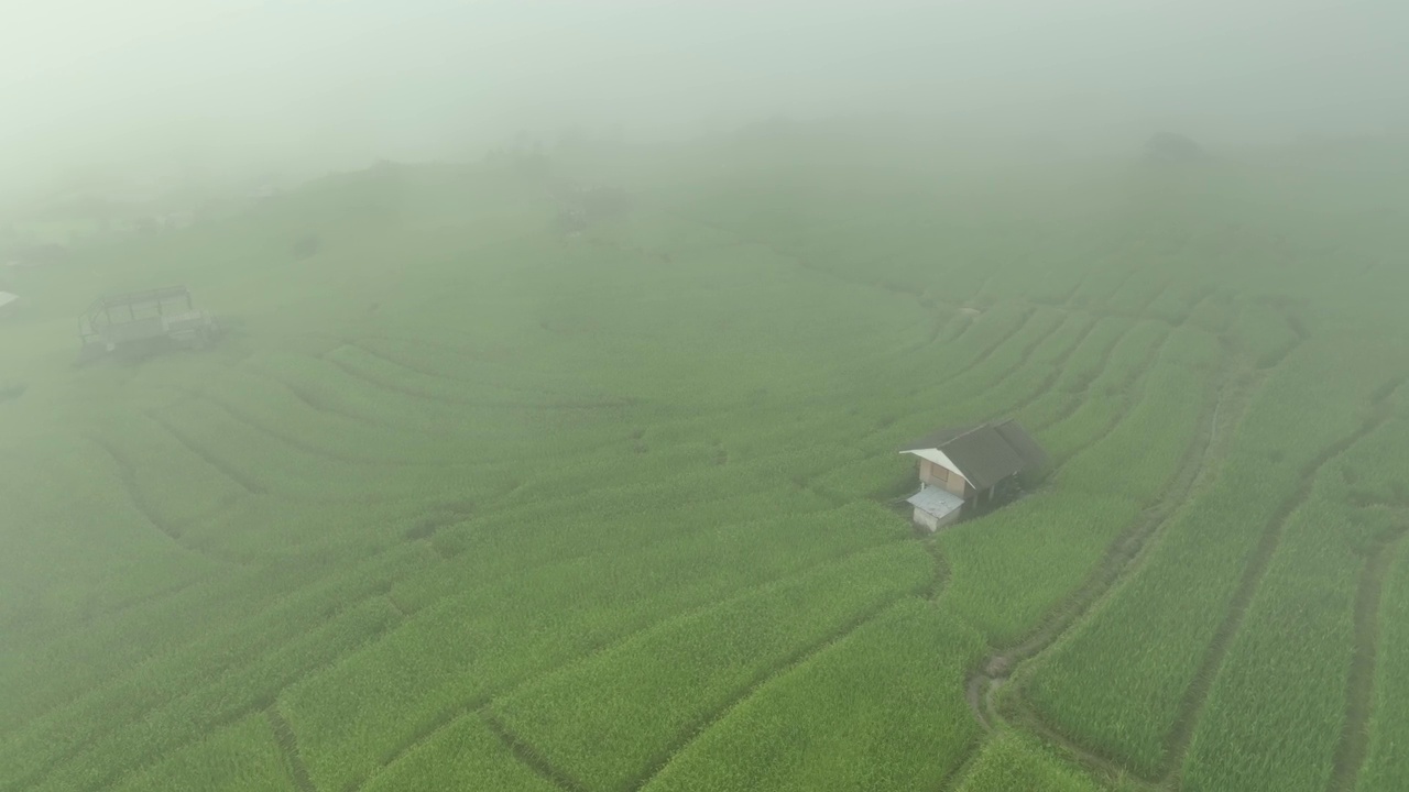 在清迈班帕邦比昂的水稻梯田鸟瞰图。泰国美丽的风景。视频素材