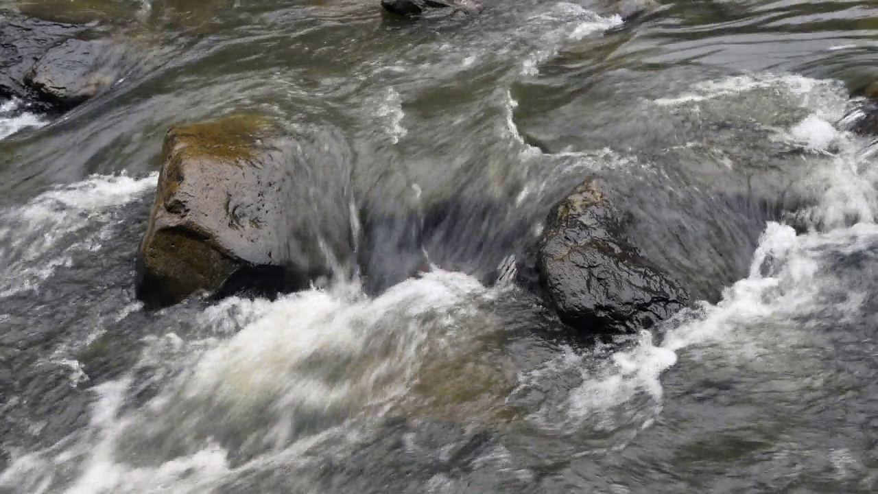 小溪流水视频素材